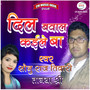 Dil Bawal Kaile Ba - Single