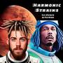 Harmonic Strains (Explicit)