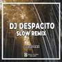 DJ Despacito Slow Remix