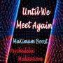 Until We Meet Again (feat. Psychedelic Meditations)