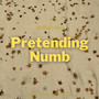 Pretending Numb (birdlee8 Vol. 4)