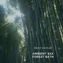 Ambient Sax Forest Bath