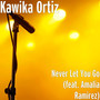 Never Let You Go (feat. Amalia Ramirez)