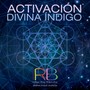 Activación Divina Índigo