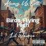 Birds Flying High (Explicit)