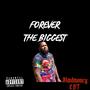 Forever the biggest (Explicit)