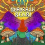 Suburban Sensi (Explicit)