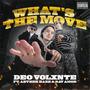 What's The Move (feat. Aether Haze & Ray Amor) [Explicit]