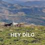 Hey Dilo (Kurdish Remix)