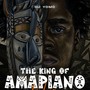 The King of Amapiano (Mixtape)