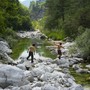Colpi di tosse