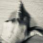 Reaching Out