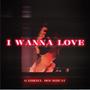 I Wanna Love (feat. RJ Pasin)