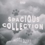 Spacious Collection (Explicit)