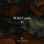 Wild Cards 25