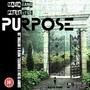 Purpose (Explicit)