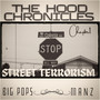 The Hood Chronicles Chapter 1 Street Terrorism (Explicit)