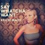 Say Whatcha Want (Explicit)