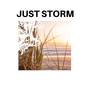 Just Storm