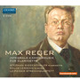 REGER, M.: Clarinet Music (Siegenthaler, Lessing, Leipzig String Quartet)