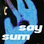 Say Sum (Explicit)