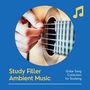 Study Filler Ambient Music: Instrumental Grooves, The Most Soothing Guitar Song Collection for Studying