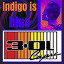 Indigo Is Blue