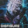 Disfigure