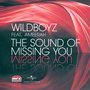 The Sound of Missing You (feat. Ameerah) - EP