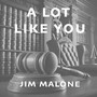 A Lot Like You