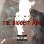 THE BIGGEST ÂØG (Explicit)