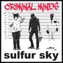 Criminal Minds (Explicit)