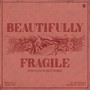 Beautifully Fragile (Pointless Beauty Remix)