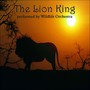 The Lion King Performed By Wildlife Orchestra