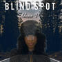 Blind Spot