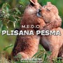 Plisana Pesma