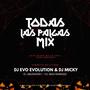 Mix Todas Las Palgas (feat. Dj Evo Evolution)