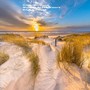 Walking at the Water's Edge Ameland