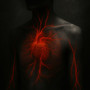 Bloodstream