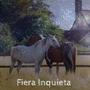 Fiera Inquieta (feat. Guita & Pasión De Gavilanes 2)