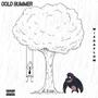 Cold Summer (Explicit)