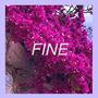 Fine