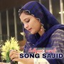 Hathyaar Mewati Song Sajid