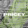 Pricey (Explicit)