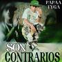 Son Contrario