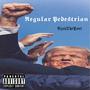 Regular Pedestrian (Explicit)