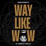 Way Like Wow (Explicit)