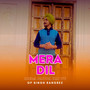 Mera Dil Mera Sapna Hai Tu