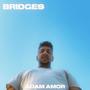 BRIDGES (Explicit)