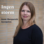 Ingen storm